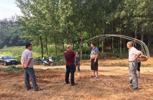 蔬菜大棚助力農(nóng)民脫貧，國(guó)貿(mào)援助項(xiàng)目正式動(dòng)工