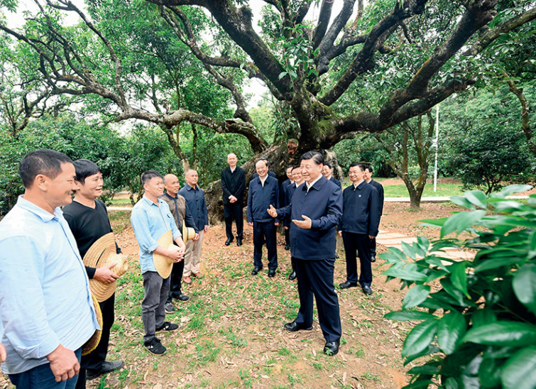 1686970181335231h7BN.png image.png