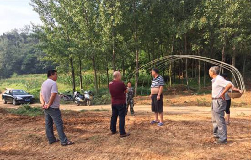 1688543977582953ELjY.jpg 640.jpg